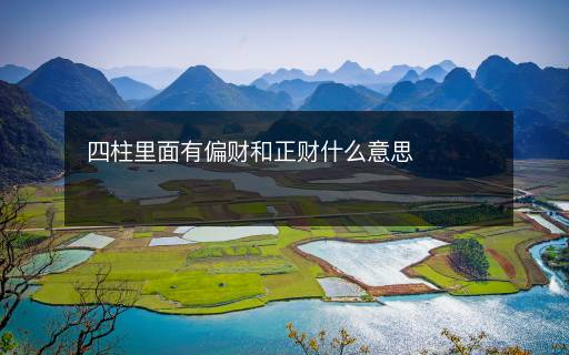 四柱里面有偏財和正財什么意思