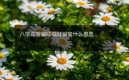 八字命宮偏印偏財(cái)偏官什么意思