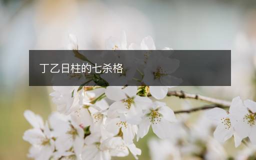 丁乙日柱的七殺格