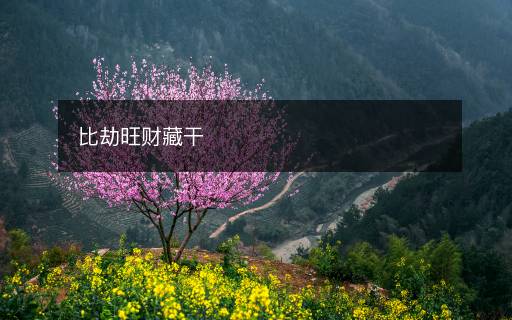 比劫旺財藏干