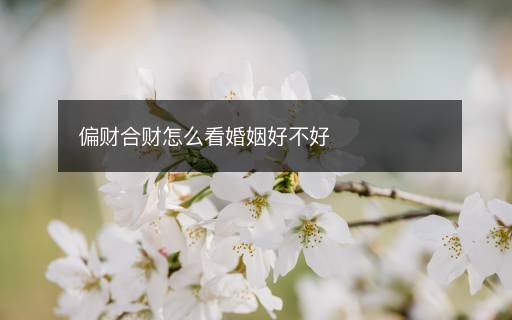 偏財合財怎么看婚姻好不好