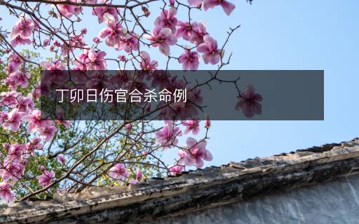 丁卯日傷官合殺命例