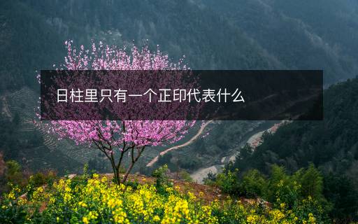 日柱里只有一個(gè)正印代表什么