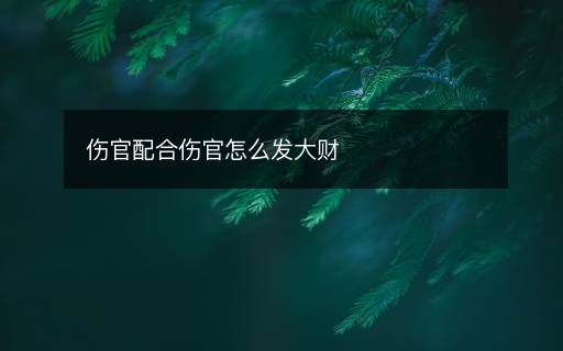 傷官配合傷官怎么發(fā)大財