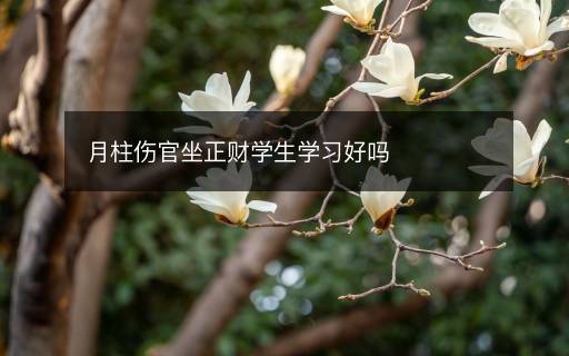 月柱傷官坐正財(cái)學(xué)生學(xué)習(xí)好嗎