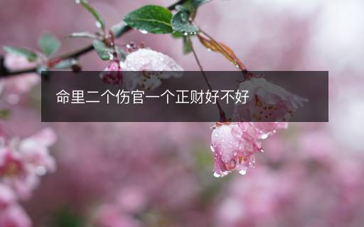 命里二個(gè)傷官一個(gè)正財(cái)好不好