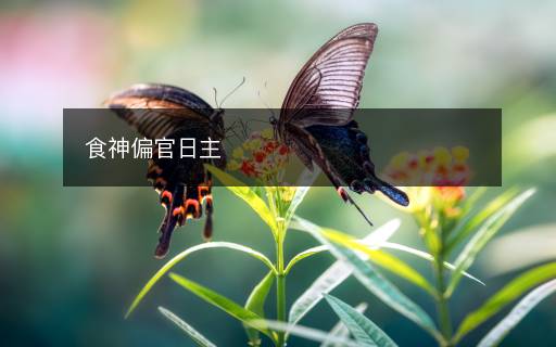 食神偏官日主