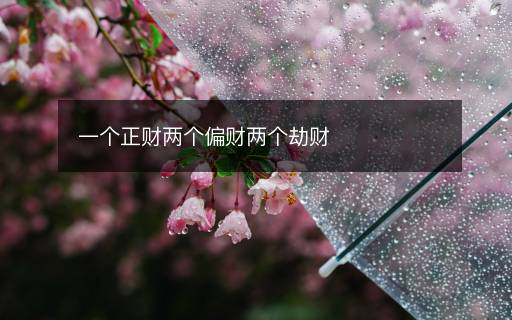 一個(gè)正財(cái)兩個(gè)偏財(cái)兩個(gè)劫財(cái)