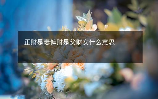 正財是妻偏財是父財女什么意思