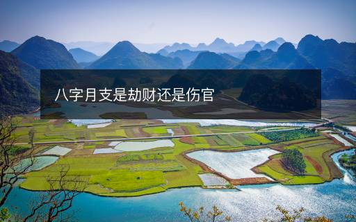 八字月支是劫財還是傷官
