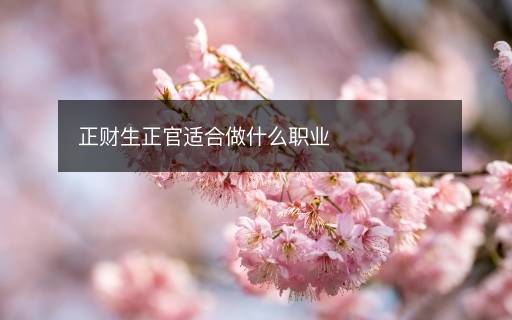 正財(cái)生正官適合做什么職業(yè)