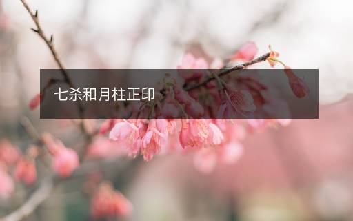 七殺和月柱正印