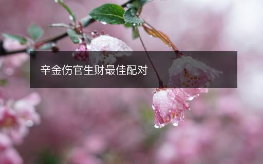 辛金傷官生財(cái)最佳配對(duì)