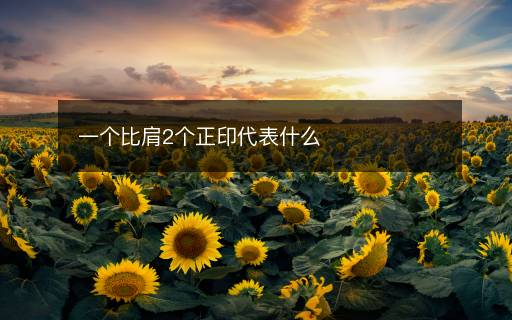 一個(gè)比肩2個(gè)正印代表什么
