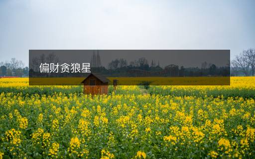 偏財貪狼星