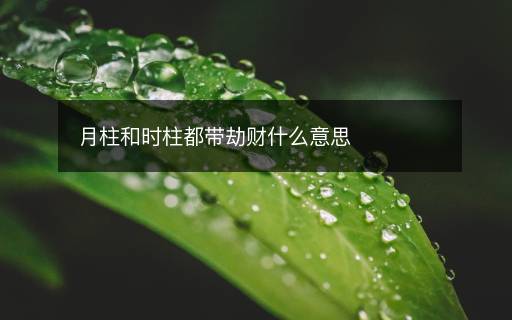 月柱和時柱都帶劫財什么意思