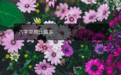 八字原局比肩多