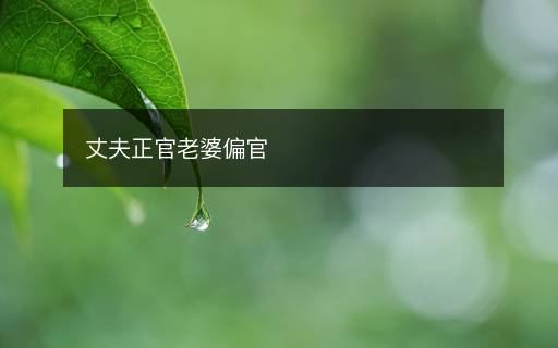 丈夫正官老婆偏官