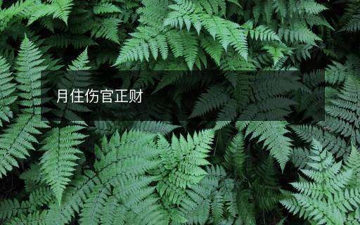 月住傷官正財(cái)