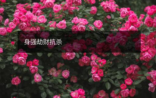 身強(qiáng)劫財(cái)抗殺