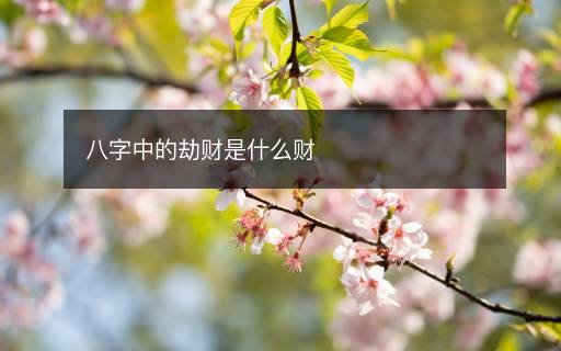 八字中的劫財(cái)是什么財(cái)
