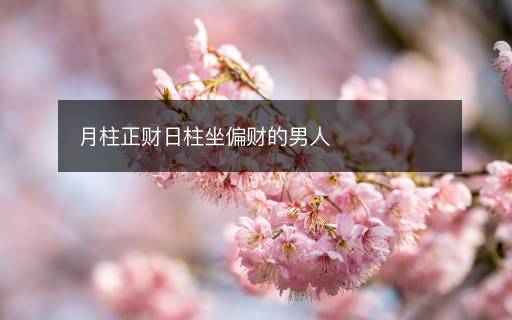 月柱正財日柱坐偏財的男人