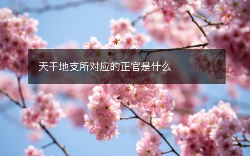 天干地支所對應的正官是什么