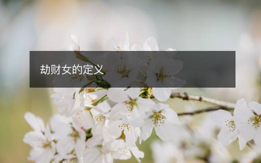 劫財(cái)女的定義