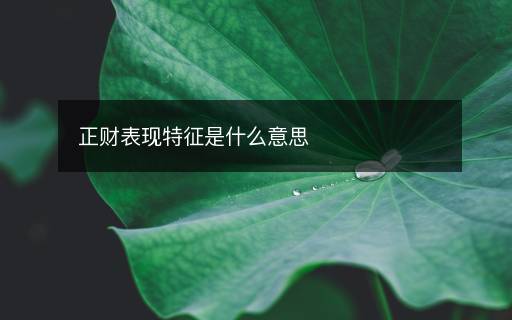 正財(cái)表現(xiàn)特征是什么意思