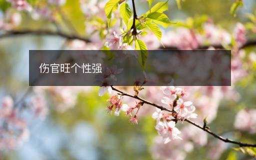 傷官旺個(gè)性強(qiáng)