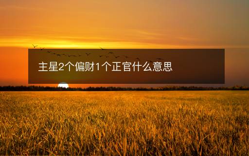 主星2個偏財1個正官什么意思