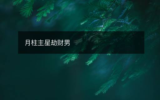 月柱主星劫財男