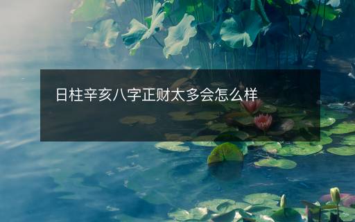 日柱辛亥八字正財太多會怎么樣
