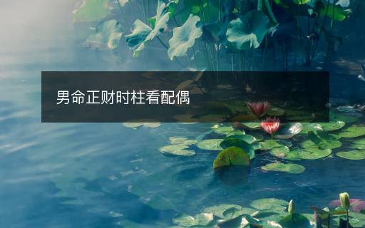 男命正財時柱看配偶