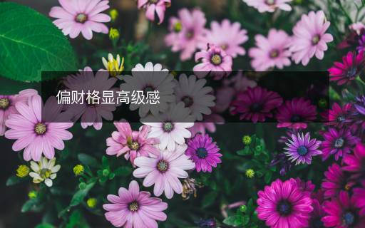 偏財(cái)格顯高級(jí)感