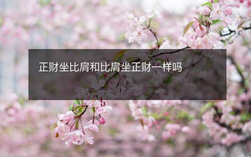 正財坐比肩和比肩坐正財一樣嗎