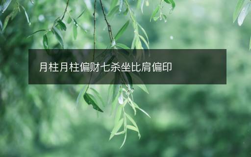 月柱月柱偏財七殺坐比肩偏印