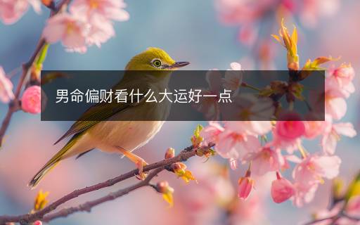 男命偏財看什么大運好一點