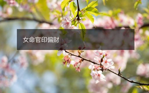 女命官印偏財(cái)