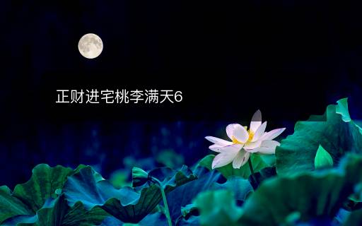 正財(cái)進(jìn)宅桃李滿天6