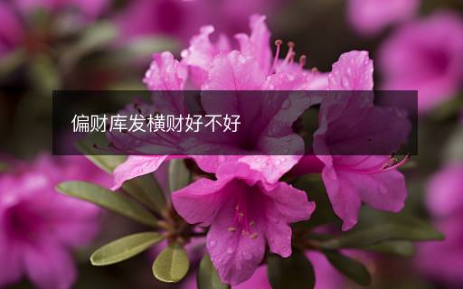 偏財(cái)庫發(fā)橫財(cái)好不好