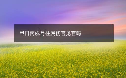 甲日丙戌月柱屬傷官見(jiàn)官嗎