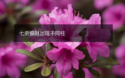 七殺偏財出現(xiàn)不同柱