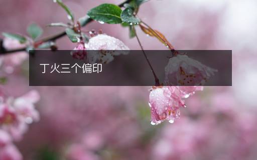 丁火三個(gè)偏印