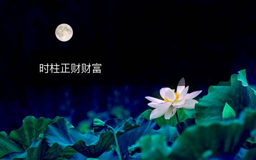 時(shí)柱正財(cái)財(cái)富
