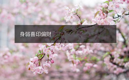 身弱喜印偏財(cái)