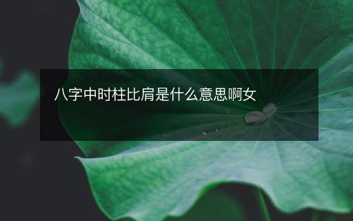 八字中時(shí)柱比肩是什么意思啊女