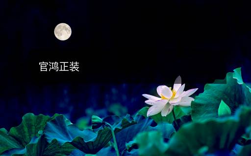 官鴻正裝