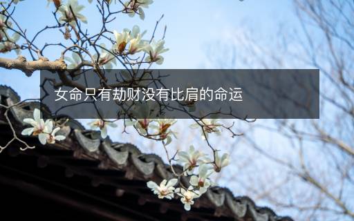 女命只有劫財沒有比肩的命運