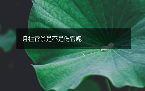 月柱官殺是不是傷官呢